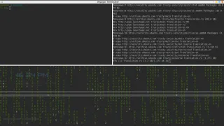 Am găsit comandă în terminalul Linux și executați-l din nou