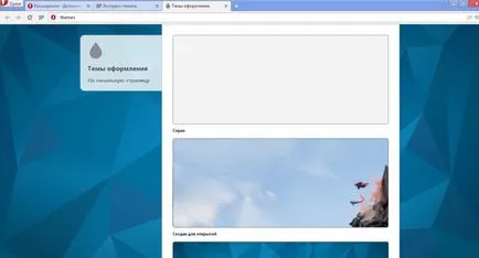Setarea panoului Express în browser-ul Opera