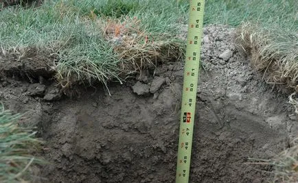 Cât de adânc pentru a îngropa stâlpii de gard - stabilirea regulilor (norme) Cât de adânc pentru a îngropa stâlpii de gard - reguli de instalare