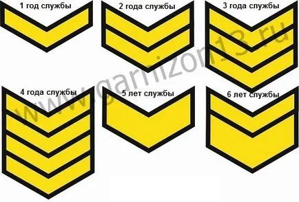 patch-uri umăr al datelor de serviciu - Manualul militar