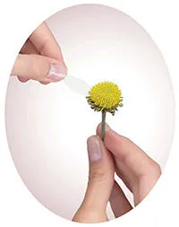 iubirea neimpartasita este ceea ce este și cum să trăiască cu ea (ea) iubirea neimpartasita este ceea ce este și cum să trăiască cu ea