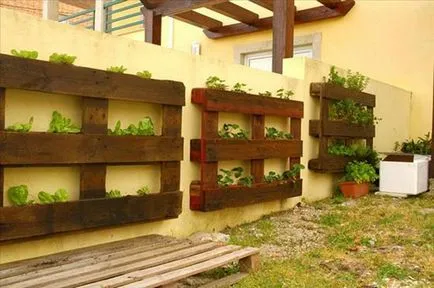 idei noi și interesante pentru grădină și grădina cu propriile sale mâini