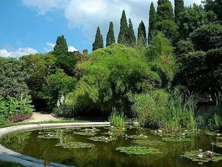 Nikitsky Grădina Botanică din Crimeea (cum să ajungi la Nikita Grădina Botanică Yalta) Nikitsky Grădina Botanică din Crimeea
