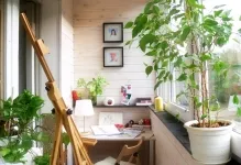 Efectuarea balconul de flori și de design, stand ampelnye decora plante frumoase, fotografii și
