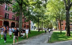 Educație la normele de admitere la Harvard, campusuri, cost, prestigiu