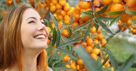 ulei de cătină în ginecologie, aplicare și utilizare (cătină) ulei de cătină în ginecologie, aplicare și utilizare