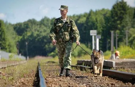 îndatoririle generale ale Sentry de serviciu
