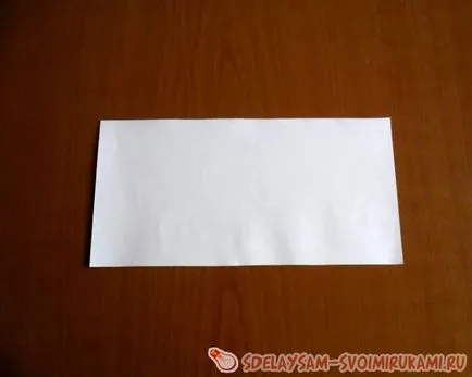 volumetrica pasă de hârtie, o clasă de master, cu propriile lor mâini (mâini) volumetrica pasă de hârtie, o clasă de master, cu propriile lor mâini