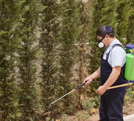 Prelucrarea din partea acarieni, construirea portalului