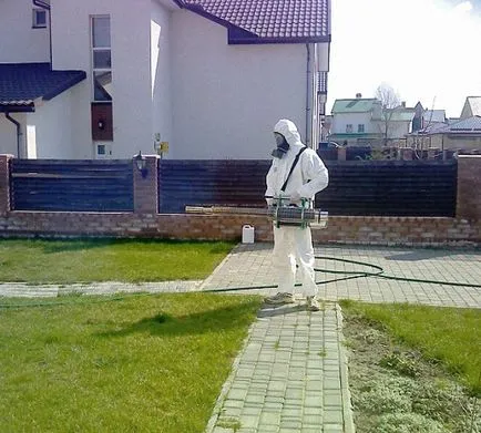 Prelucrarea din partea acarieni, construirea portalului