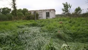 proprietate asupra terenurilor în 2017 instrucțiuni pas cu pas, proceduri și documente (terenuri) proprietate asupra terenurilor în 2017 instrucțiuni pas cu pas, proceduri și documente