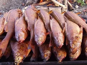Perch afumat