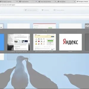 Panou Opera Express - salva, instala, configura, restaura, face pagina de start, de a crea