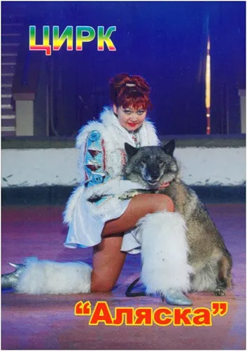 Definiți un lup sau un câine, suntem de lucru cu lupi - Lair Wolf