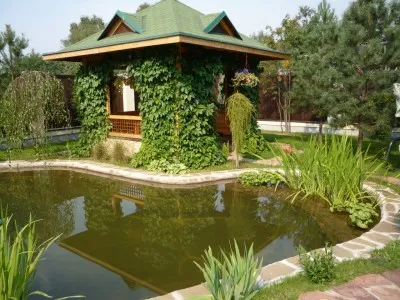 Aspect și design chioșc în țară