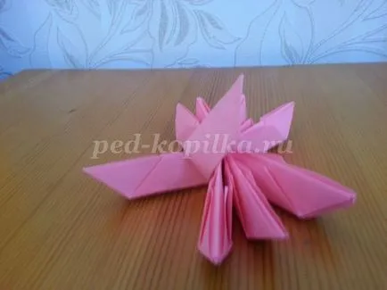 origami lotus