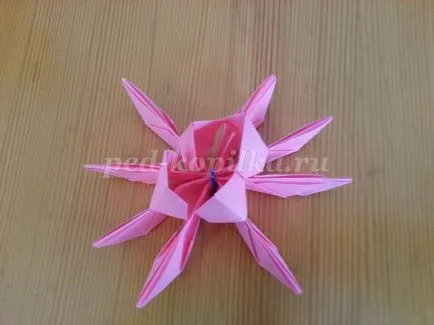 origami lotus