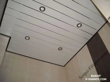 Decorarea panourile din plastic baie (30 poze)