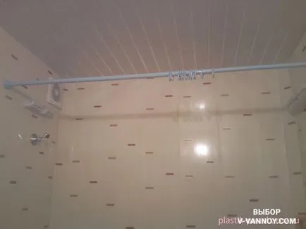 Decorarea panourile din plastic baie (30 poze)