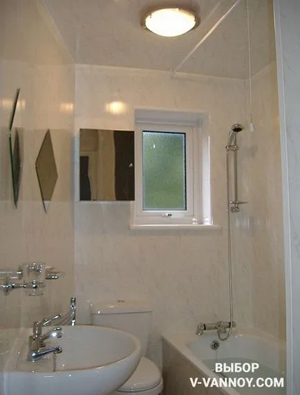 Decorarea panourile din plastic baie (30 poze)