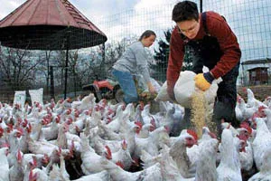 Deschide ferma proprie a deveni un fermier de la zero