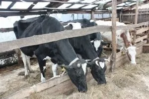 Deschide ferma proprie a deveni un fermier de la zero
