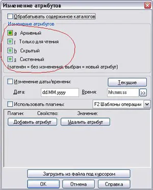 Afișare fișiere și foldere ascunse virus (afișat) Afișare fișiere și foldere ascunse virus