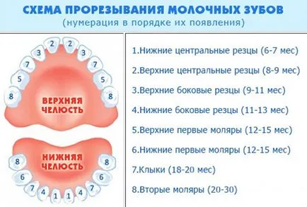 Primii dinți ai copilului atunci când există simptome, ce să facă (de îngrijire a nou-născutului) Primii dinți ai copilului atunci când există simptome, ce să facă