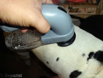 Aspiratoarele pentru animale de companie «vărsat amice» (animale) Aspiratoarele pentru animalele de companie «vărsat amice»