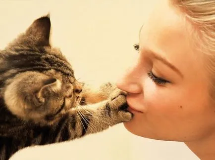 De ce pisicile miau doar pentru oameni, dacă oamenii să înțeleagă ce meowing pisica (oameni miau pisica) De ce pisicile miau doar pentru oameni, dacă oamenii să înțeleagă ce a miauna pisica