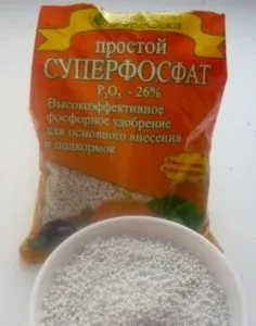 Fertilizarea de mere - îngrășăminte schema de aplicare, decât pentru a alimenta măr