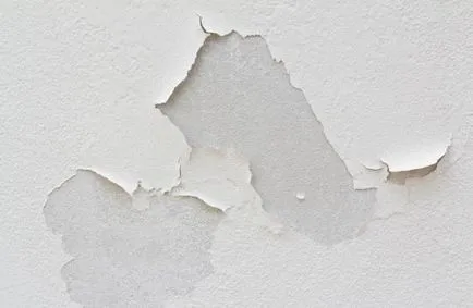 Pregătirea pereților pentru vopsirea lucrărilor de procedură, caracteristici și recomandări (pereții) Pregătirea pereților pentru vopsirea lucrărilor de procedură, caracteristici și recomandări