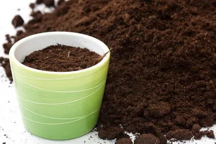 Fertilizarea flori acasa ingrasaminte naturale (fertilizante de origine culori) Fertilizarea flori la domiciliu îngrășăminte naturale