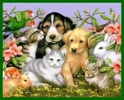 Cauta cluburi iubitorii de animale de companie virtuale (virtuală) Căutare cluburi iubitorii virtuale pentru animale de companie