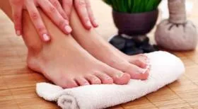 Pelinul - proprietăți medicinale și contraindicații (medicale) Pelin - proprietăți medicinale și contraindicații
