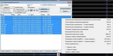 Găsiți duplicate dosar în Total Commander