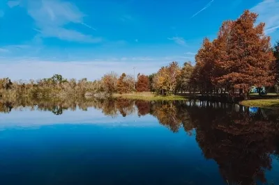 панталони