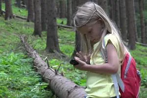 Reguli de conduită în pădure pentru copii (memo)