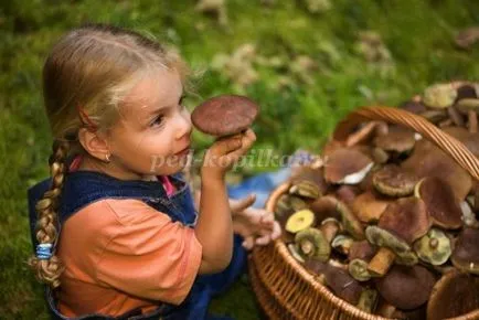 Reguli de conduită în pădure pentru copii în versuri