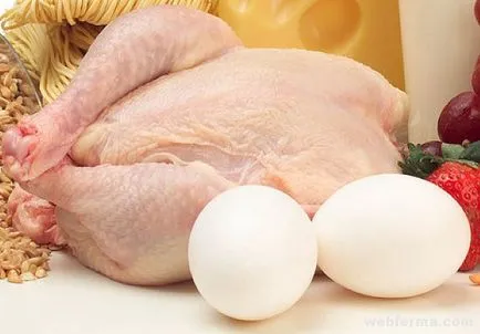 Rasa pui pentru carne și ouă de direcție