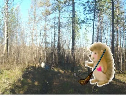 Reguli de conduită în pădure pentru copii în versuri