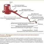Cauzele vasculita sistemica, diagnosticul și tratamentul acestora (motive) Cauzele vasculita sistemică, diagnosticul și tratamentul