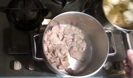 Mod de preparare syroezhek foto și video-rețete, cum să gătească ciupercile după colectare (fotografii) Mod de preparare syroezhek foto și video-rețete, modul de a găti ciupercile după recoltare