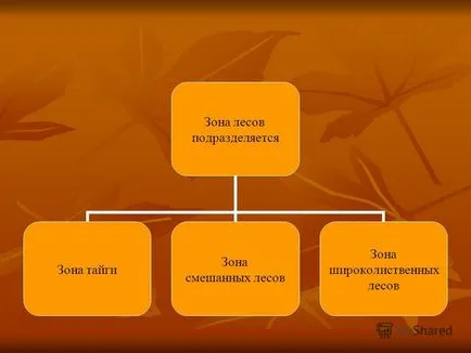 Prezentarea pe suprafața împădurită este împărțită zona zona taiga a zonei mixte păduri de foioase (subdivizat) Prezentarea pe suprafața împădurită este împărțită zona taiga zonă a zonei mixte padure de foioase