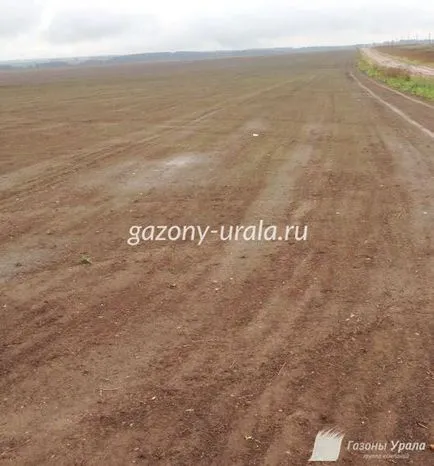Producția de gazon în Permian, prețul gazonului în rulouri - un grup de companii „peluzele Urali“ (recuperarea gazon) Productia de gazon în Permian, prețul gazonului în rulouri - un grup de „peluze“ Urali companii