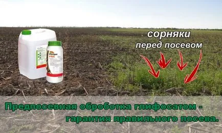 manualul de instrucțiuni al buruienilor Roundup