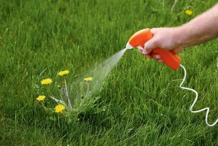 manualul de instrucțiuni al buruienilor Roundup