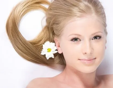 grâu blond Wheat culoarea părului colorarea părului și aplicarea ei