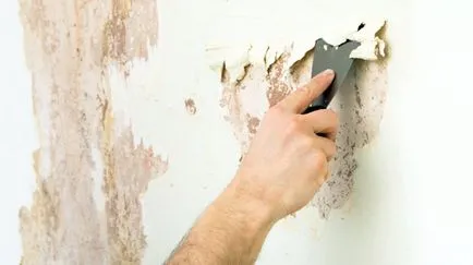 Repararea și decorarea pereților cu secțiunea lor mâinile a site-ului