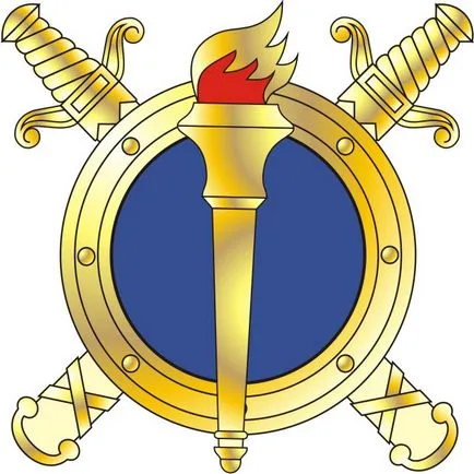 Recomandări pentru plasarea decalcomanii - magazin Armata